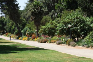 Flower Alley