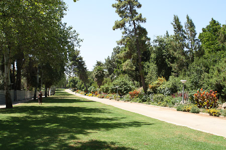 Flower Alley