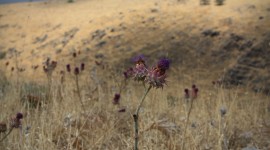 Hiking in the Golan Heights