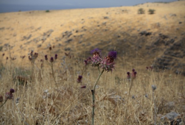 Hiking in the Golan Heights